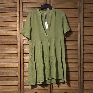 Anthropologie Sage Green Mini Dress